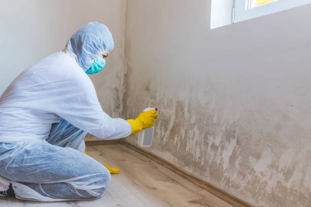Mold inspector in Columbus performing thermal imaging